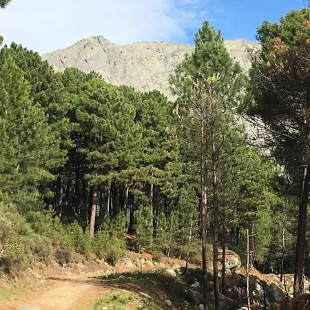La Calleja * Villarejo del Valle